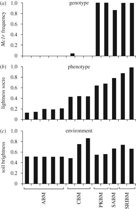 Figure 5.