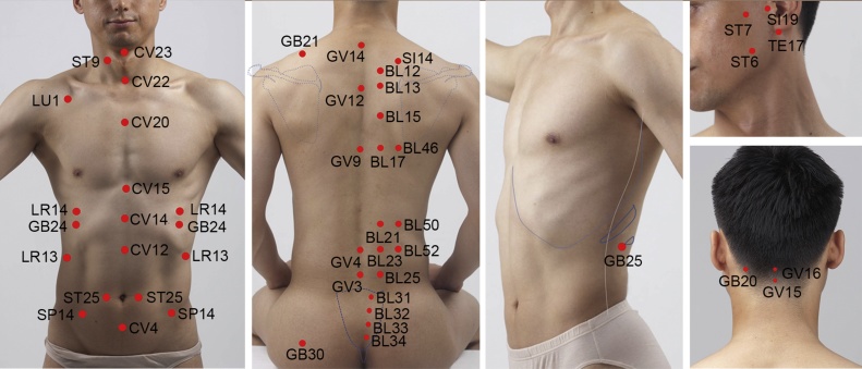 Fig. 2