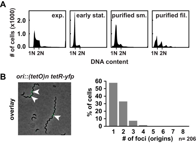 FIG 2