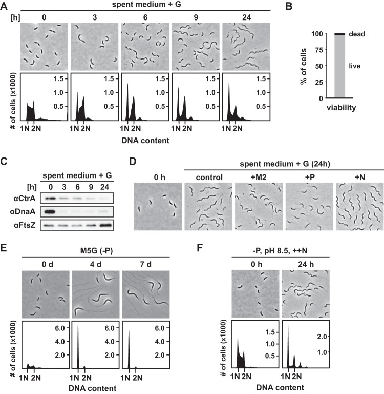 FIG 4