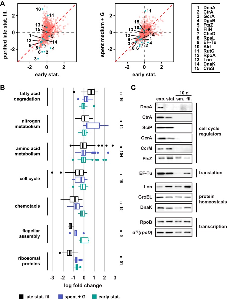 FIG 3