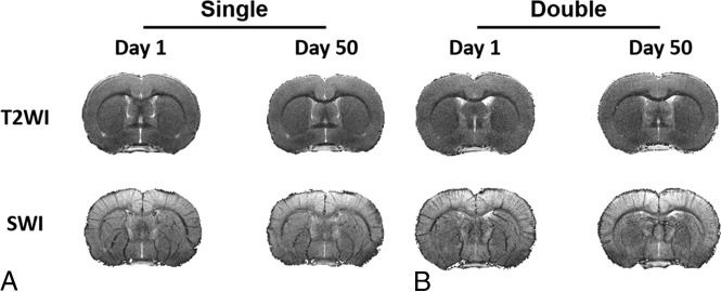 Fig 2.