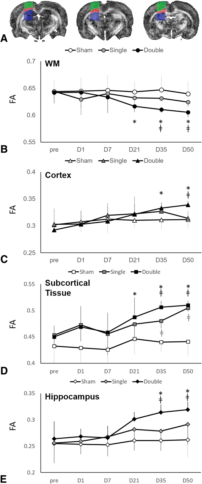 Fig 1.