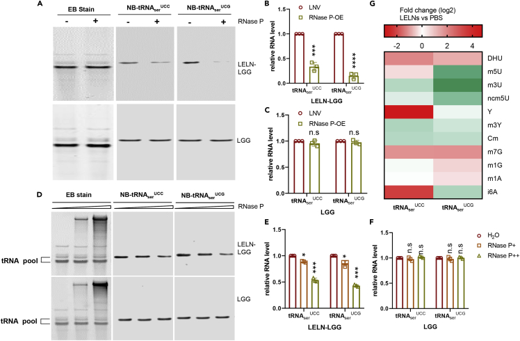 Figure 4