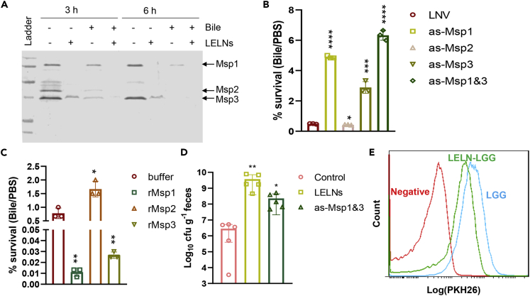 Figure 2