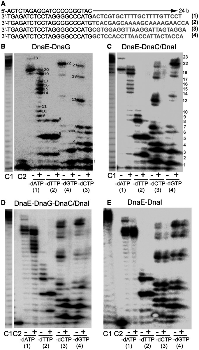 Figure 10.