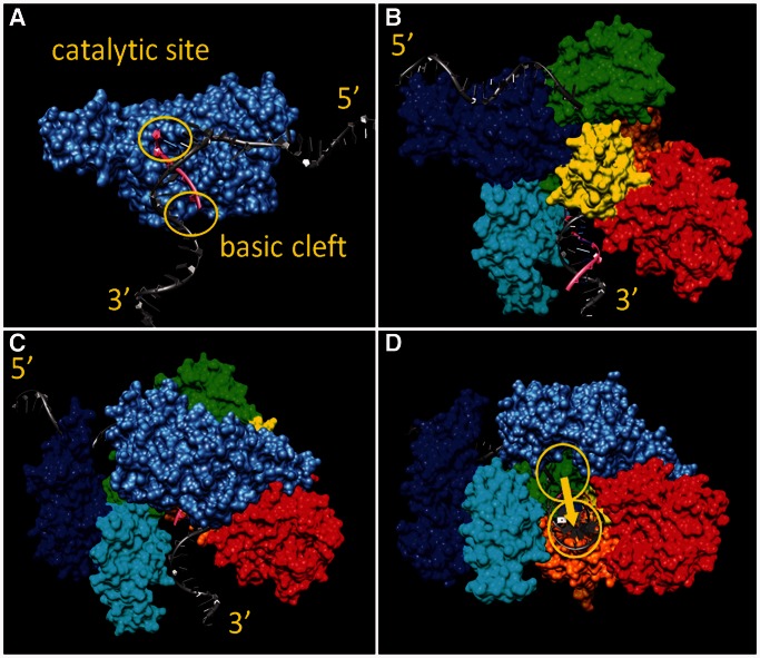 Figure 11.