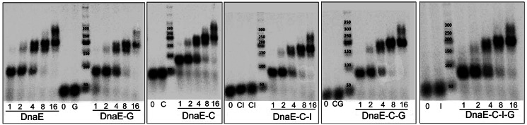 Figure 9.