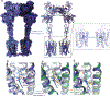 Extended Data Figure 8: