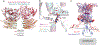Extended Data Figure 4:
