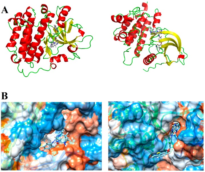 Figure 11