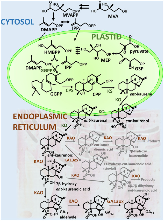 Fig 2