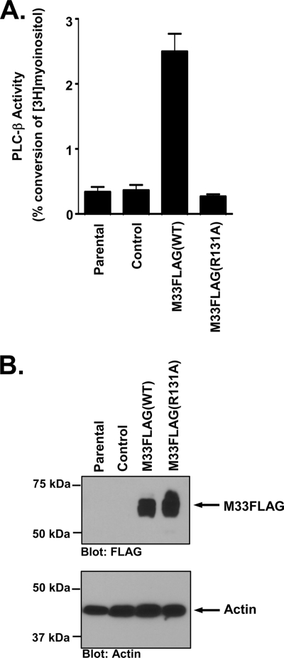 FIG. 8.