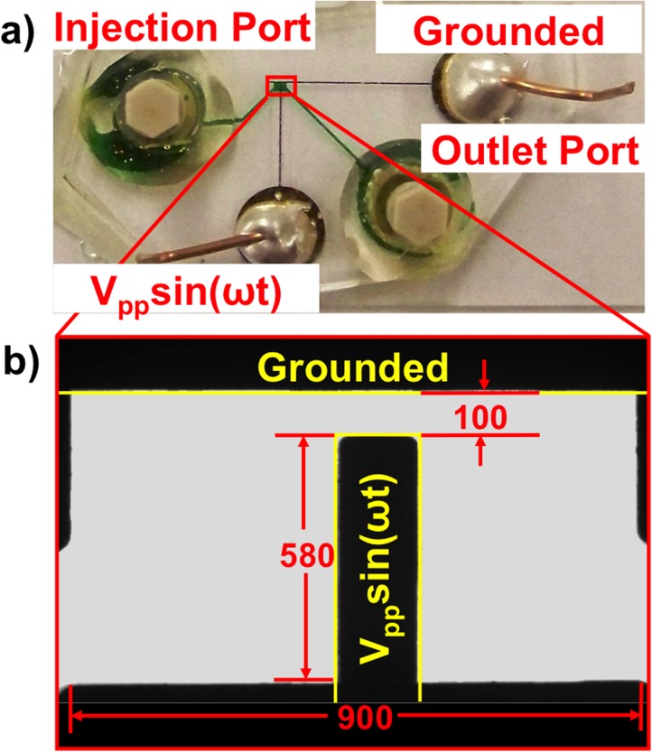 FIG. 1.