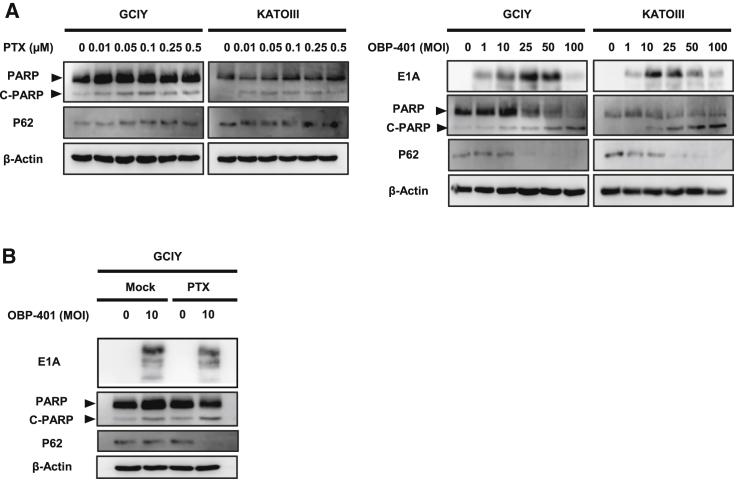 Figure 4