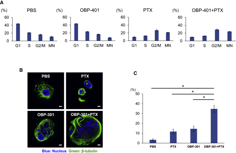 Figure 3