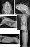 Fig. 5