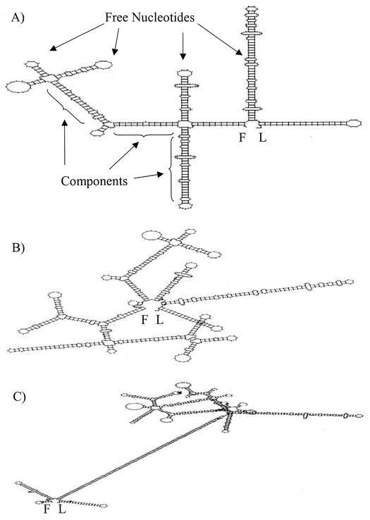 FIG. 4.