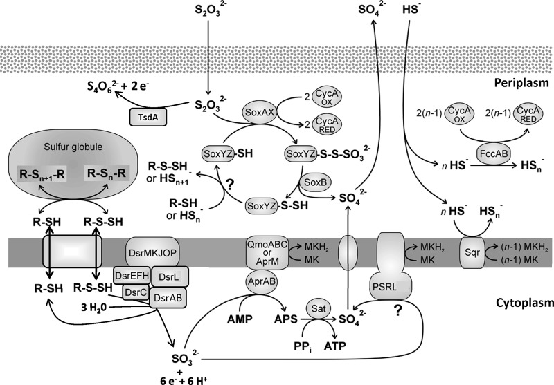 Fig 1