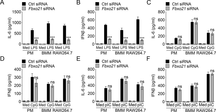 Figure 1—figure supplement 2.