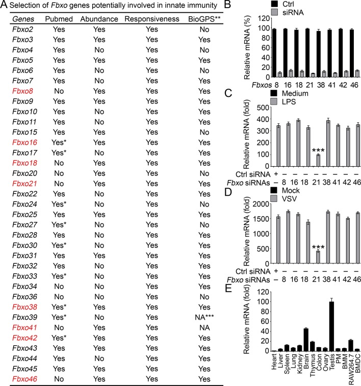 Figure 1—figure supplement 1.