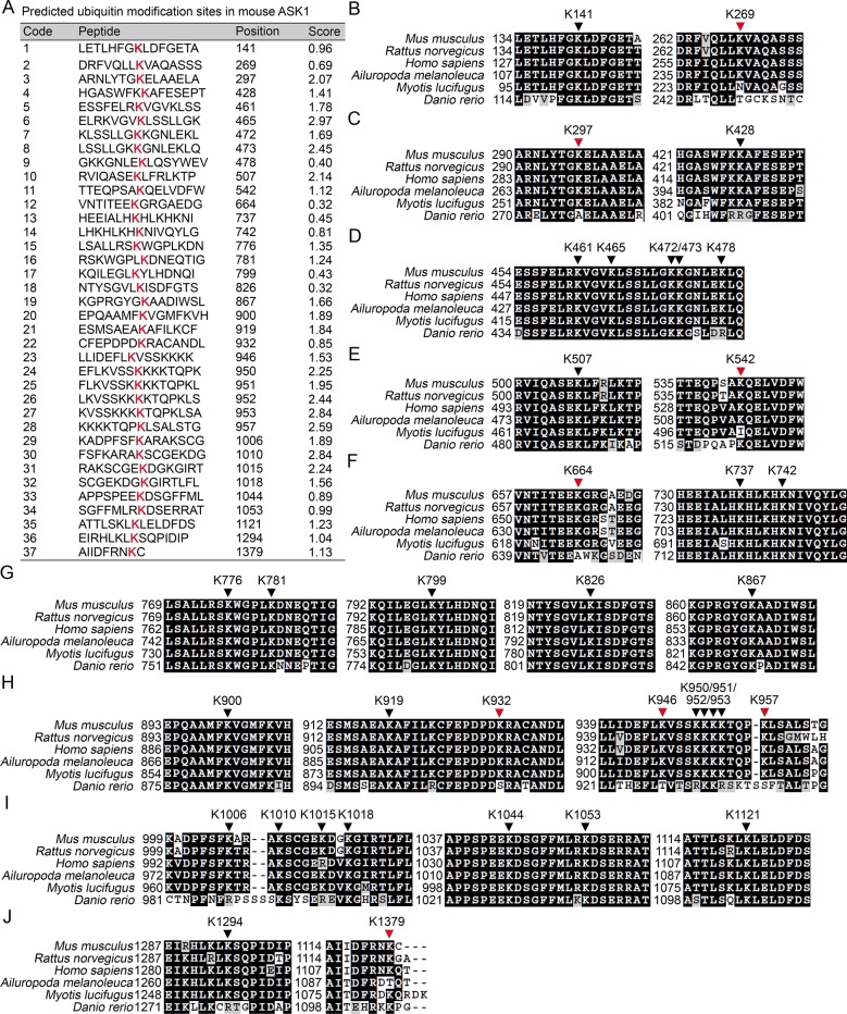 Figure 7—figure supplement 1.