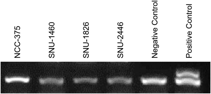 Supplementary Figure 1