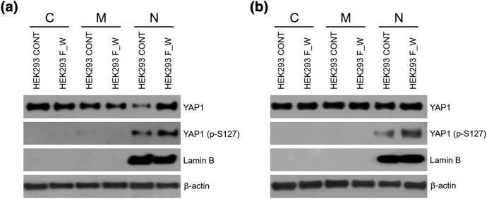 Supplementary Figure 3