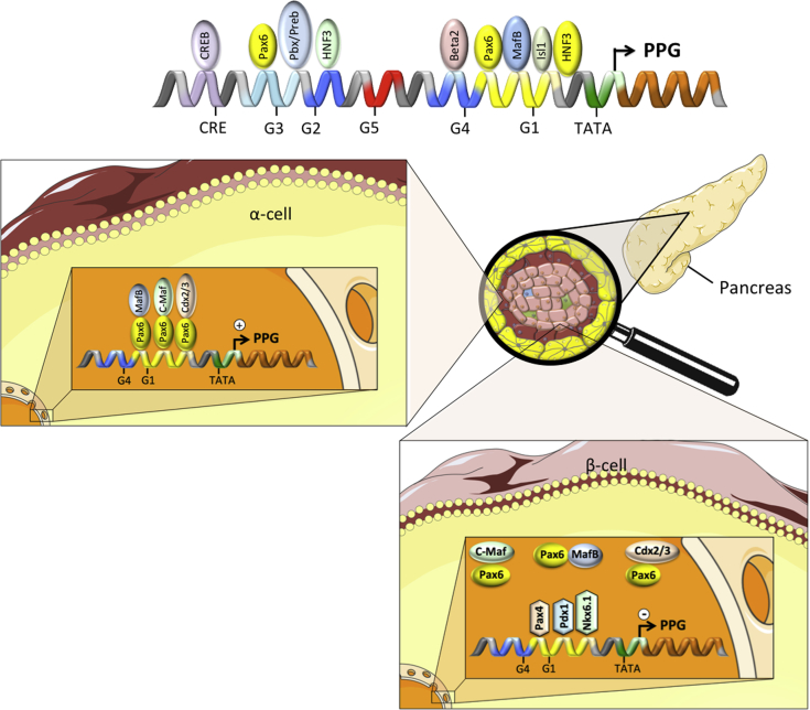 Figure 2