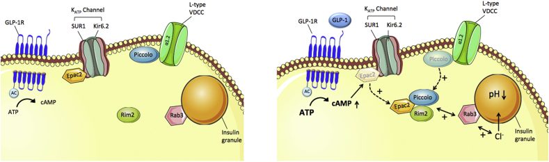 Figure 6