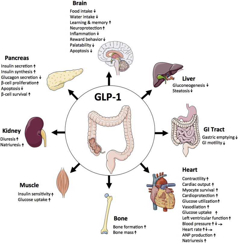 Figure 7