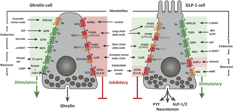 Figure 4