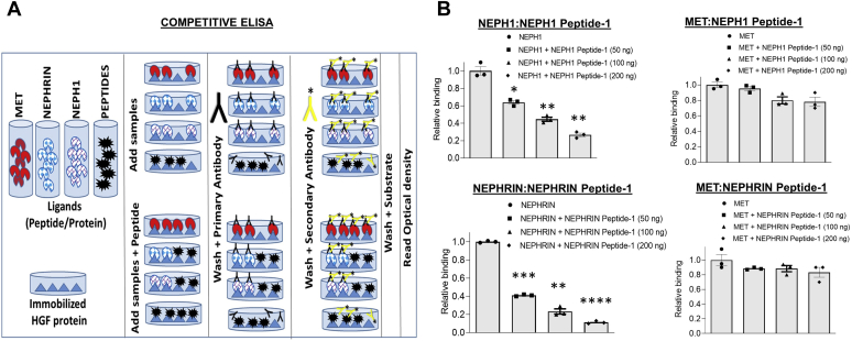 Figure 6