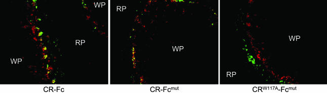 Fig. 5.