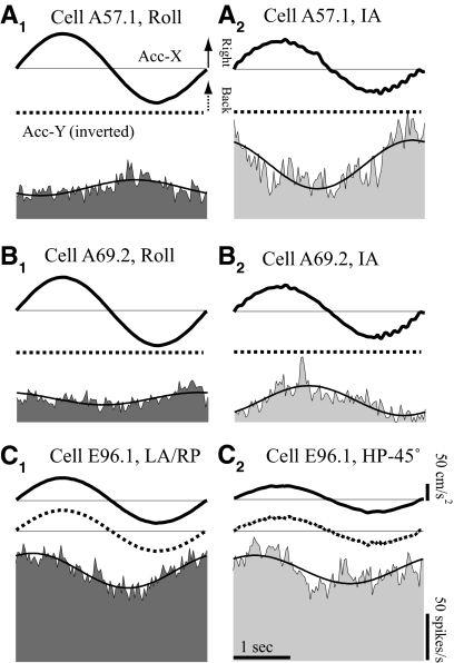 Fig. 12.