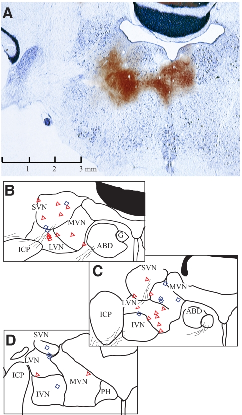 Fig. 2.