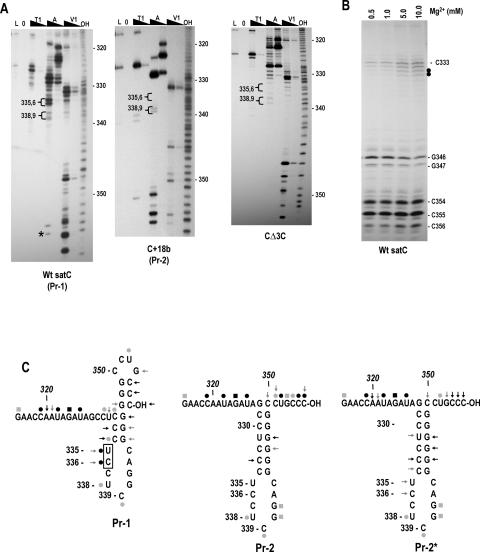 FIGURE 3.