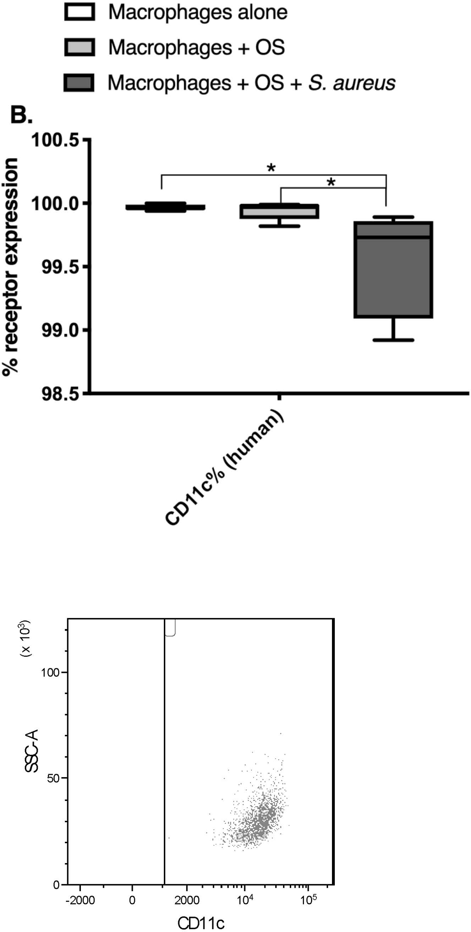 Figure 4: