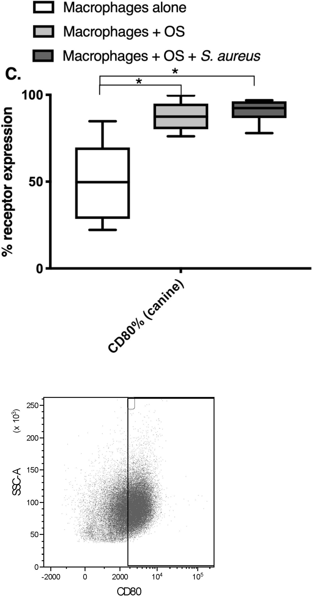 Figure 4: