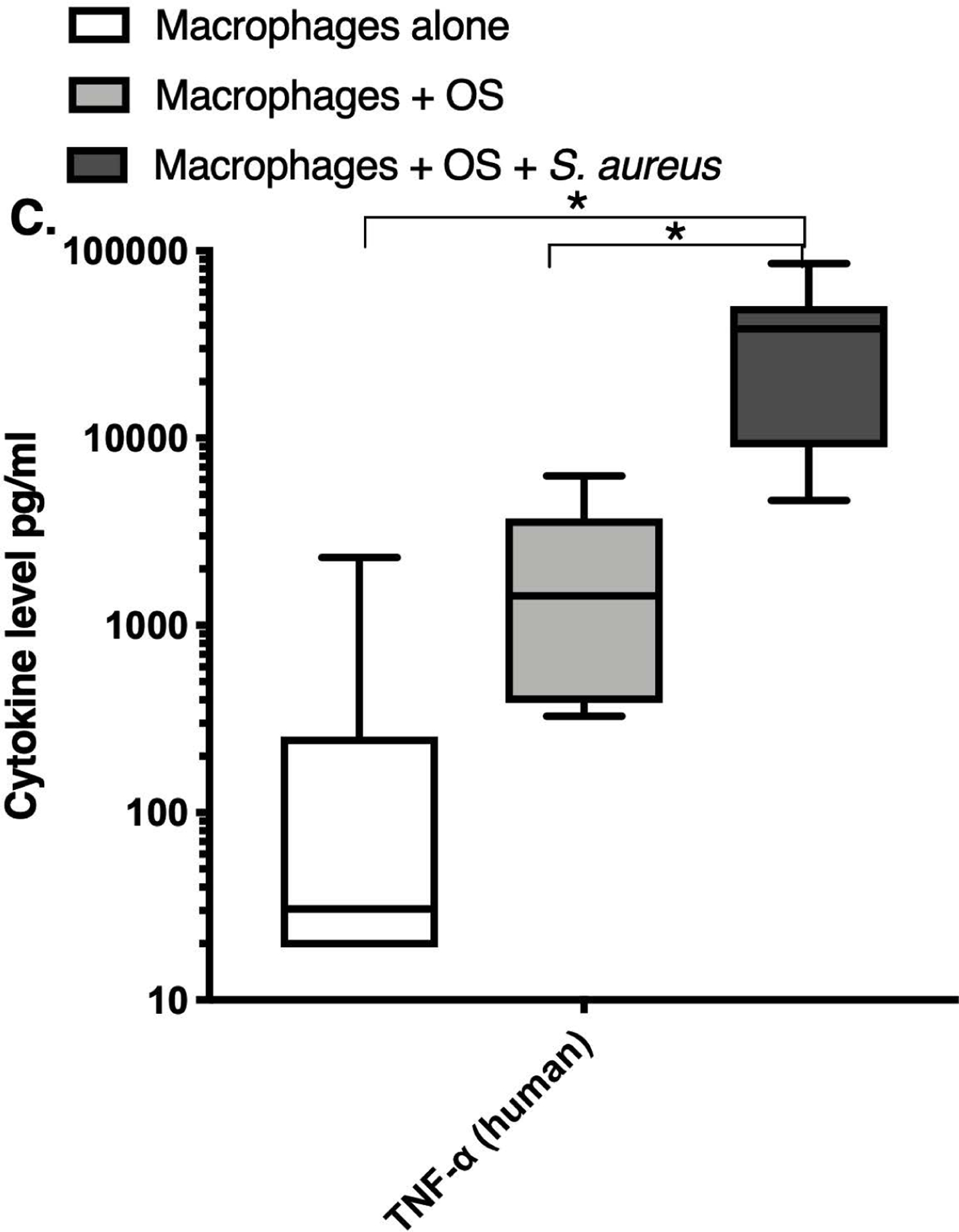 Figure 2: