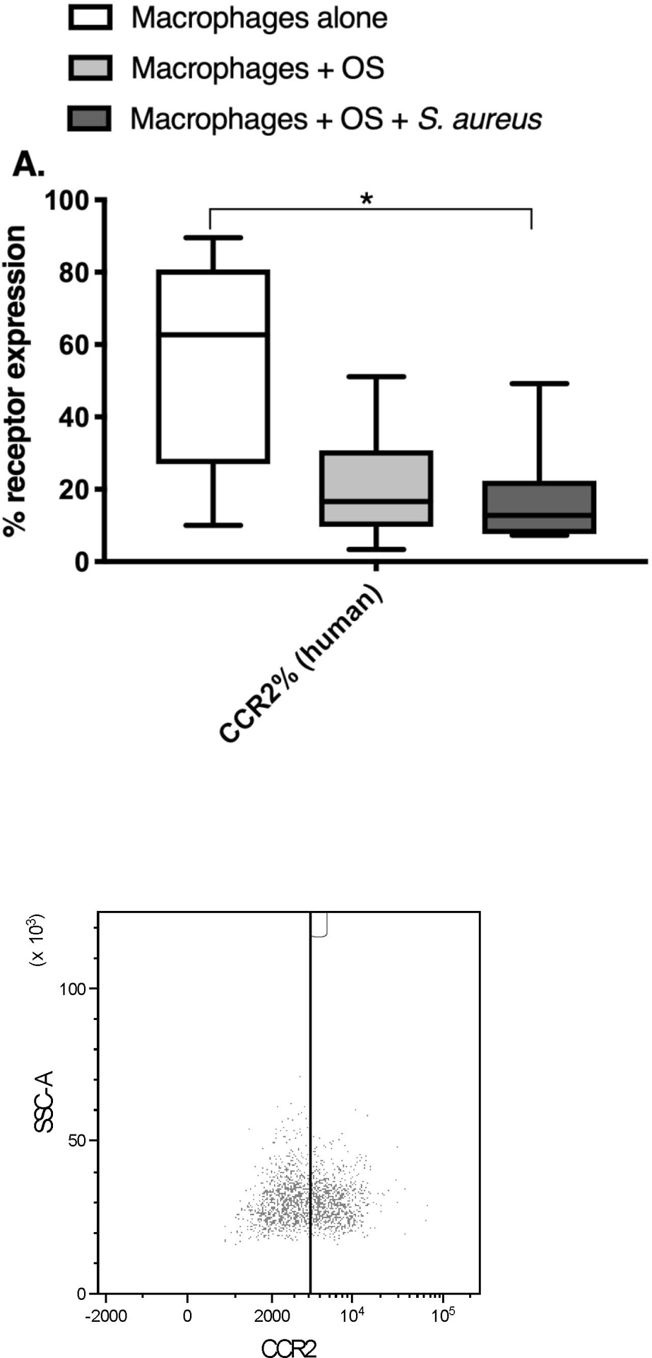 Figure 4: