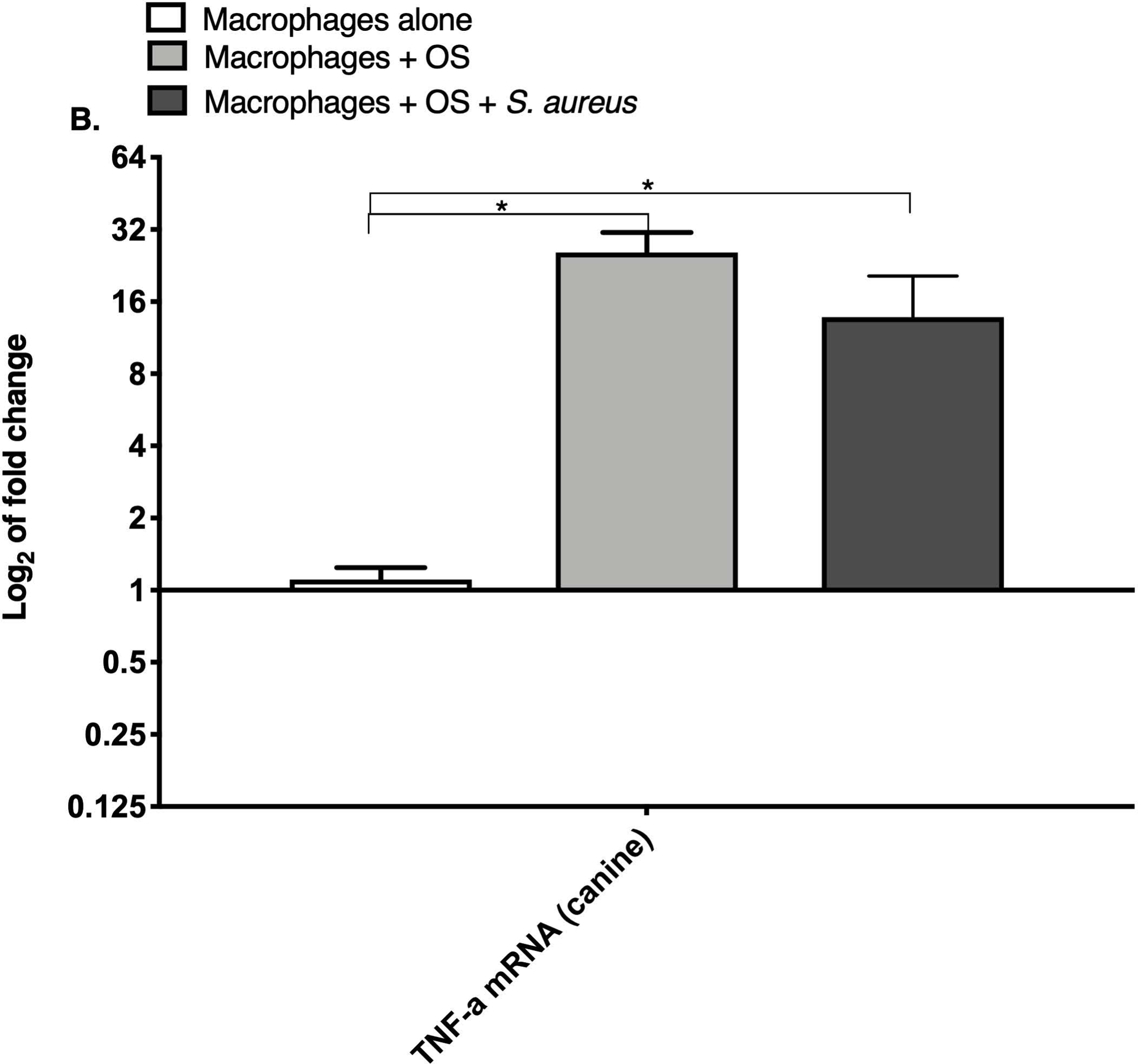 Figure 1: