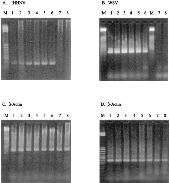 FIG. 6