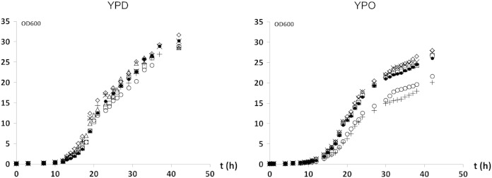 Fig. 2