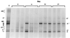 FIG. 8