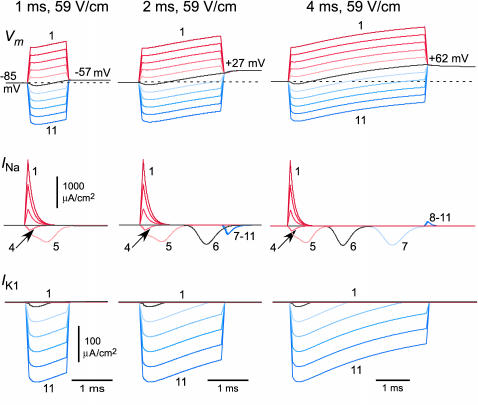 FIGURE 9