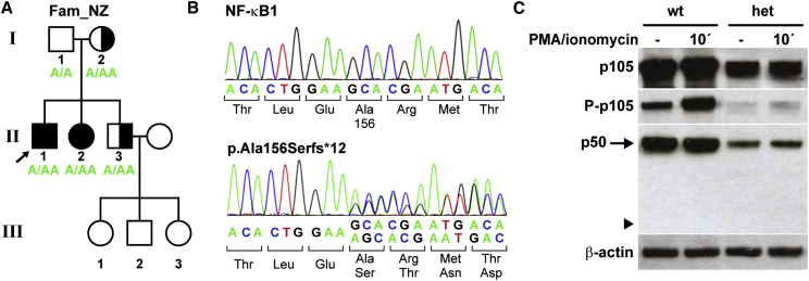 Figure 5