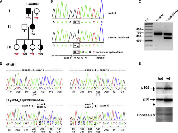 Figure 4