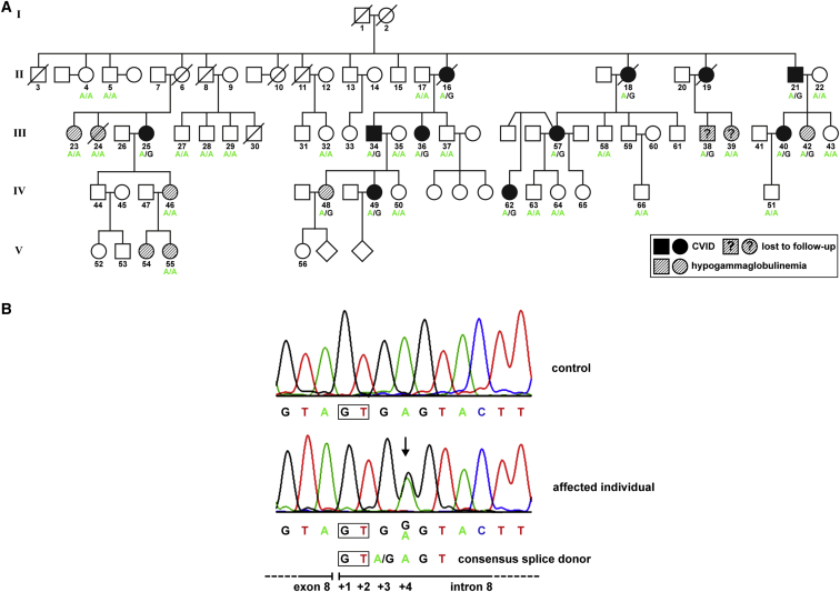 Figure 1