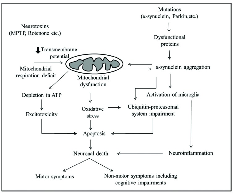 Fig. (1)